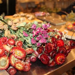 Flying Bear - Fantastic flowers everywhere. I was enamored with the dried flowers. So naturally perfect.
