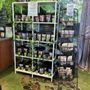 Photo of Woodsong Herbs Teas and Spices