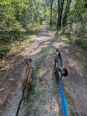 Ruffner Mountain by null