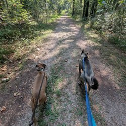 Ruffner Mountain
