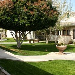 Arbor Rose Senior Care - Courtyard