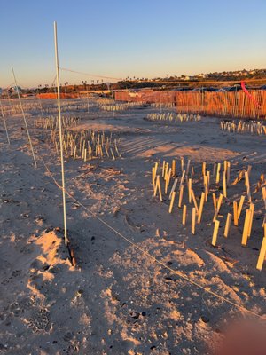 South Ponto Beach by null