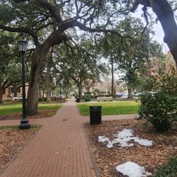 Free Savannah Tours