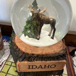 Love at First Bite - My husband got me this snow globe