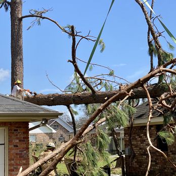 Crane Tree Removal - This was tricky.  The tree bent but didn't break so under tons of stress and tension. - Tree Services Near Me