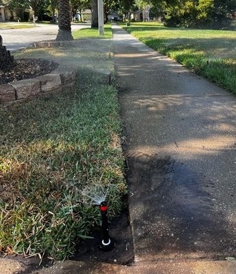 Improved Sprinkler Heads 2025 - The revamp of this irrigation system in Lakeland was to remove older, inefficient spray heads and install new 6" pop up sprays to improve coverage and extended life of irrigation system. Grass was very dry so this new sprinkler system repair we completed improved overall landscape health. Improved Sprinkler Heads 2025 - The revamp of this irrigation system in Lakeland was to remove older, inefficient spray heads and install new 6" pop up sprays to improve coverage and extended life of irrigation system. Grass was very dry so this new sprinkler system repair we completed improved overall landscape health.