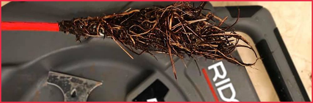 Slide of McDaniel Sewer and Drain