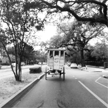 Roman Chewing Candy - NOLA Traffic Jam Mule-Drawn Roman Candy Man $1 dollar per stick #NOLA_Haiku #RomanCandy #NOLAEats #NOLAProblems #BlackAndWhite - Candy Stores Near Me - New Orleans, Louisiana Roman Chewing Candy - NOLA Traffic Jam Mule-Drawn Roman Candy Man $1 dollar per stick #NOLA_Haiku #RomanCandy #NOLAEats #NOLAProblems #BlackAndWhite - Candy Stores Near Me - New Orleans, Louisiana