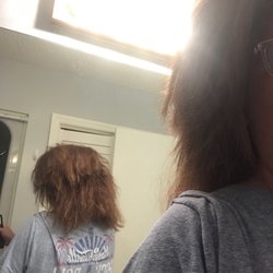 Great Clips - All chopped up back