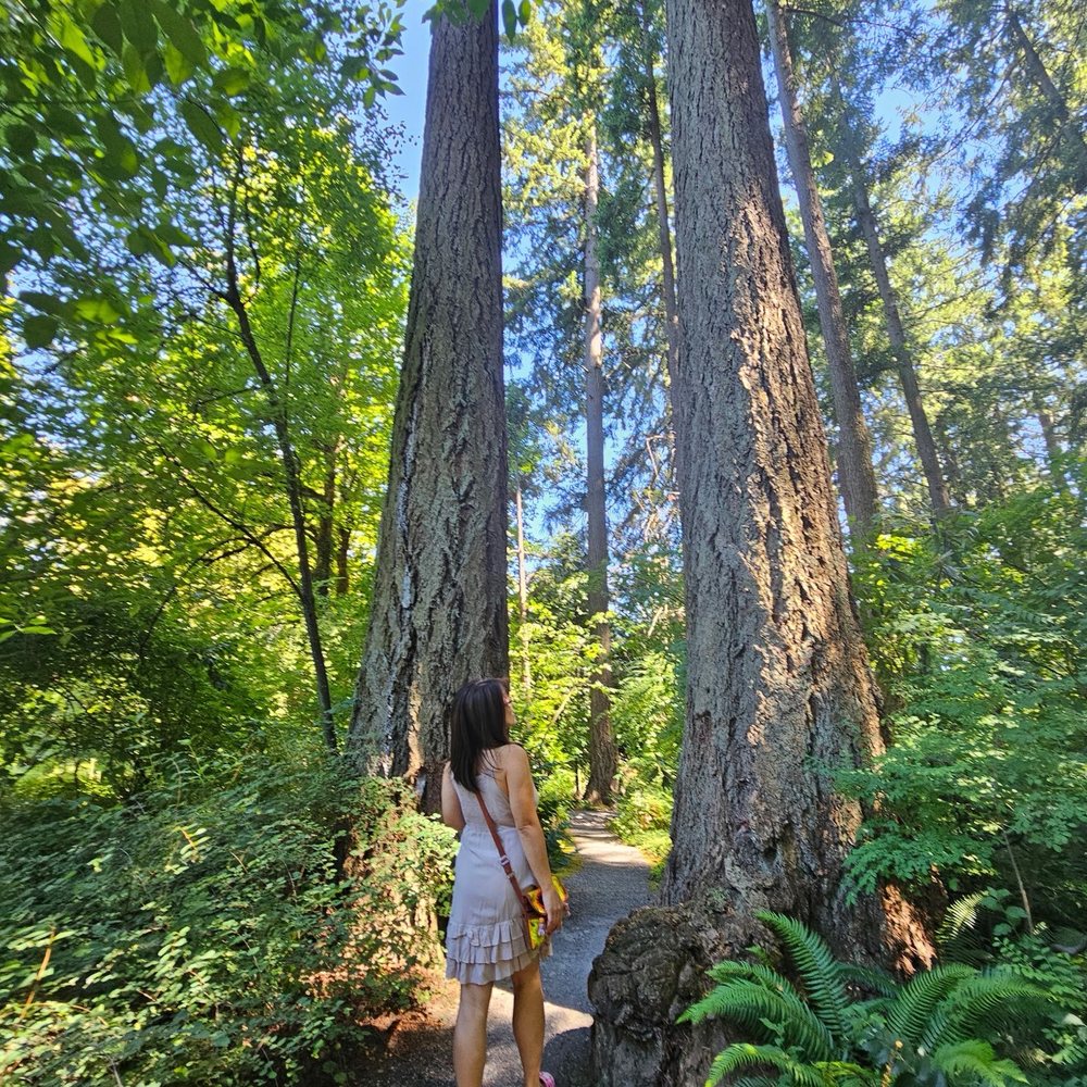 Leach Botanical Garden - Botanical Gardens Near Me - Portland, Oregon