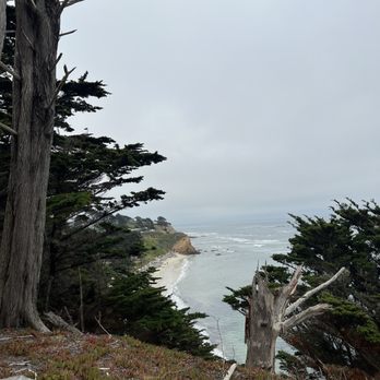 Seal Cove Inn - Seals - Hotels Near Me - Moss Beach, California