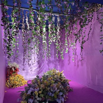 Imaginarium 360 - Photo Booth - Festivals Near Me - Milpitas, California