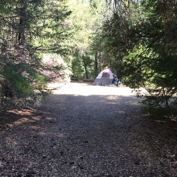Tributary Whitewater Tours - Private campsite in the back of the Tributary's campgrounds. - Rafting/Kayaking Near Me - Truckee, California