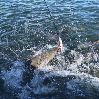 Key West Extreme Adventures - Boating Near Me - Key West, Florida