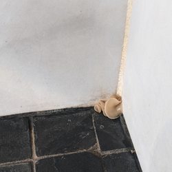 Grapevine Remodeling - Mushrooms growing in another place in the shower.