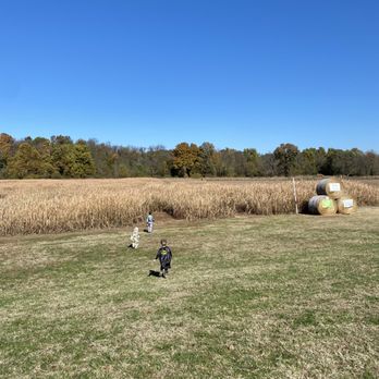 Rutledge-Wilson Farm Community Park - corn maxe - Parks Near Me - Springfield, Missouri