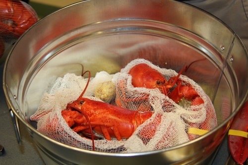 United Cerebral Palsy Association of Hawaii - social services organization in Honolulu, HI