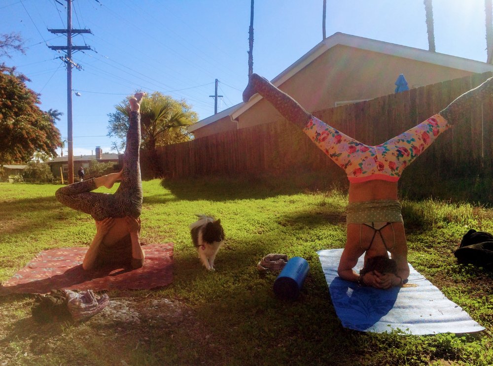 Harmonize Healing Arts Logo