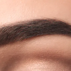 Junu's Eyebrows