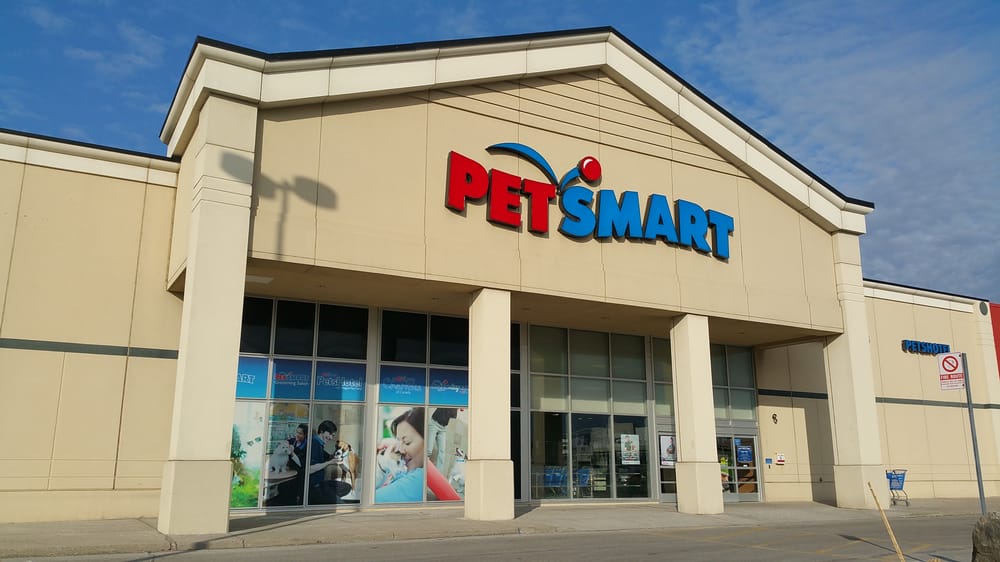 fingerlings target dinosaur