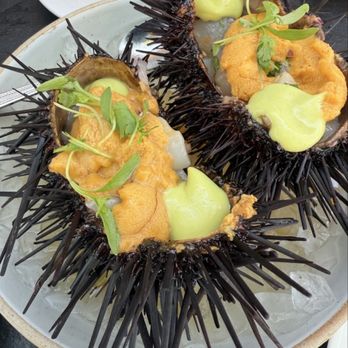 Holbox - Latin American Near Me - Los Angeles, California Holbox - Latin American Near Me - Los Angeles, California