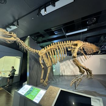 Melbourne Museum - Museums Near Me - Melbourne, VIC Melbourne Museum - Museums Near Me - Melbourne, VIC
