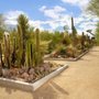 Photo of Springs Preserve