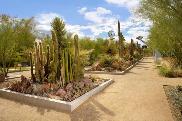 Springs Preserve by null