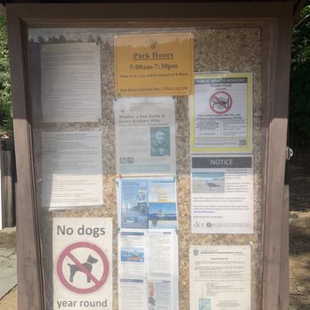 Walden Pond State Reservation - Information - Parks Near Me - Concord, Massachusetts