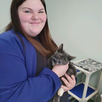 League For Animal Welfare - One of my old favorites to volunteer with! Absolutely a cuddle lover - Animal Shelters Near Me - Batavia, Ohio League For Animal Welfare - One of my old favorites to volunteer with! Absolutely a cuddle lover - Animal Shelters Near Me - Batavia, Ohio