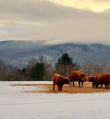 von Trapp Family Lodge & Resort by null