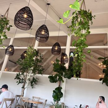 Greenhouse Penryn - Interior - Salad Near Me - Penryn, California