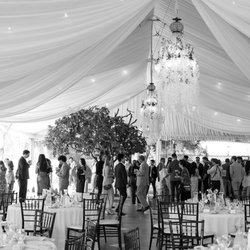 Pearlsia Decor