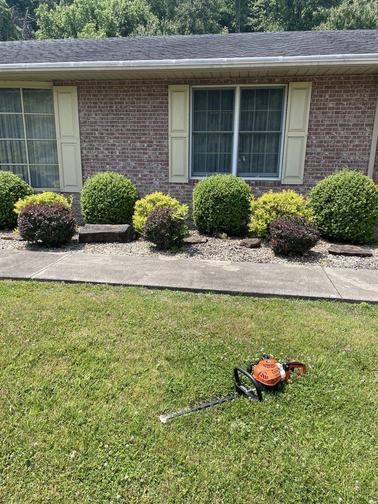 Lyon’s Lawncare Service - tree service in Kenova, WV