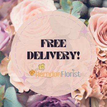 Herndon Florist - Free flower delivery in Reston, VA - Floral Designers Near Me - Reston, Virginia Herndon Florist - Free flower delivery in Reston, VA - Floral Designers Near Me - Reston, Virginia