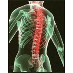 NJ Pain Spine & Sports Associates