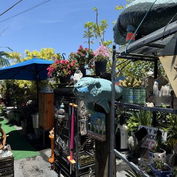 Oddballs Nifty Thrift - Pathway to inside shop. - Thrift Stores Near Me - Oakland Park, Florida