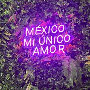 Monterrey - Mexican Near Me - Bristol, Connecticut