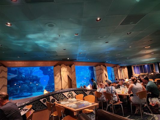 Coral Reef Restaurant by null