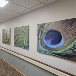 Wellstar Kennestone Emergency Department