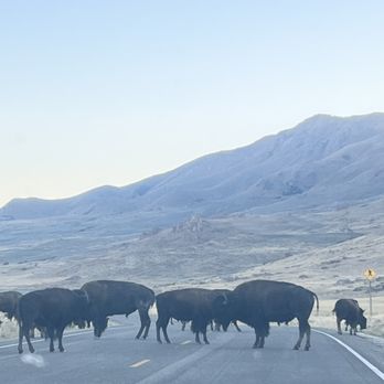Antelope Island State Park - Hiking Near Me - Syracuse, Utah Antelope Island State Park - Hiking Near Me - Syracuse, Utah
