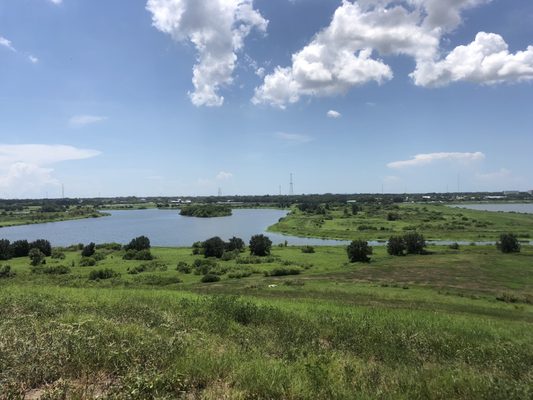 Celery Fields by null