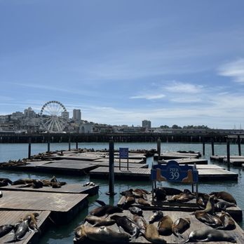 PIER 39 - Shopping Centers Near Me - San Francisco, California PIER 39 - Shopping Centers Near Me - San Francisco, California