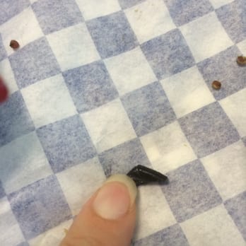 The Spot - Hard piece of chipped plastic found in the very last bite of my otherwise delicious wrap... :( - Juice Bars & Smoothies Near Me - Claremont, California The Spot - Hard piece of chipped plastic found in the very last bite of my otherwise delicious wrap... :( - Juice Bars & Smoothies Near Me - Claremont, California