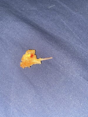 Panda Express by null