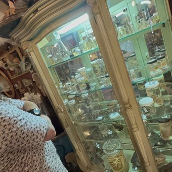 Zip Ride - We squeezed in a tiny bit of tipsy shopping! - Tours Near Me - Tampa, Florida Zip Ride - We squeezed in a tiny bit of tipsy shopping! - Tours Near Me - Tampa, Florida