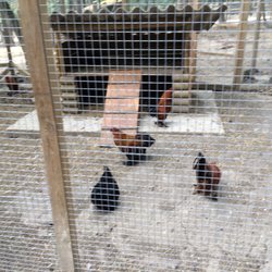 Animaparc