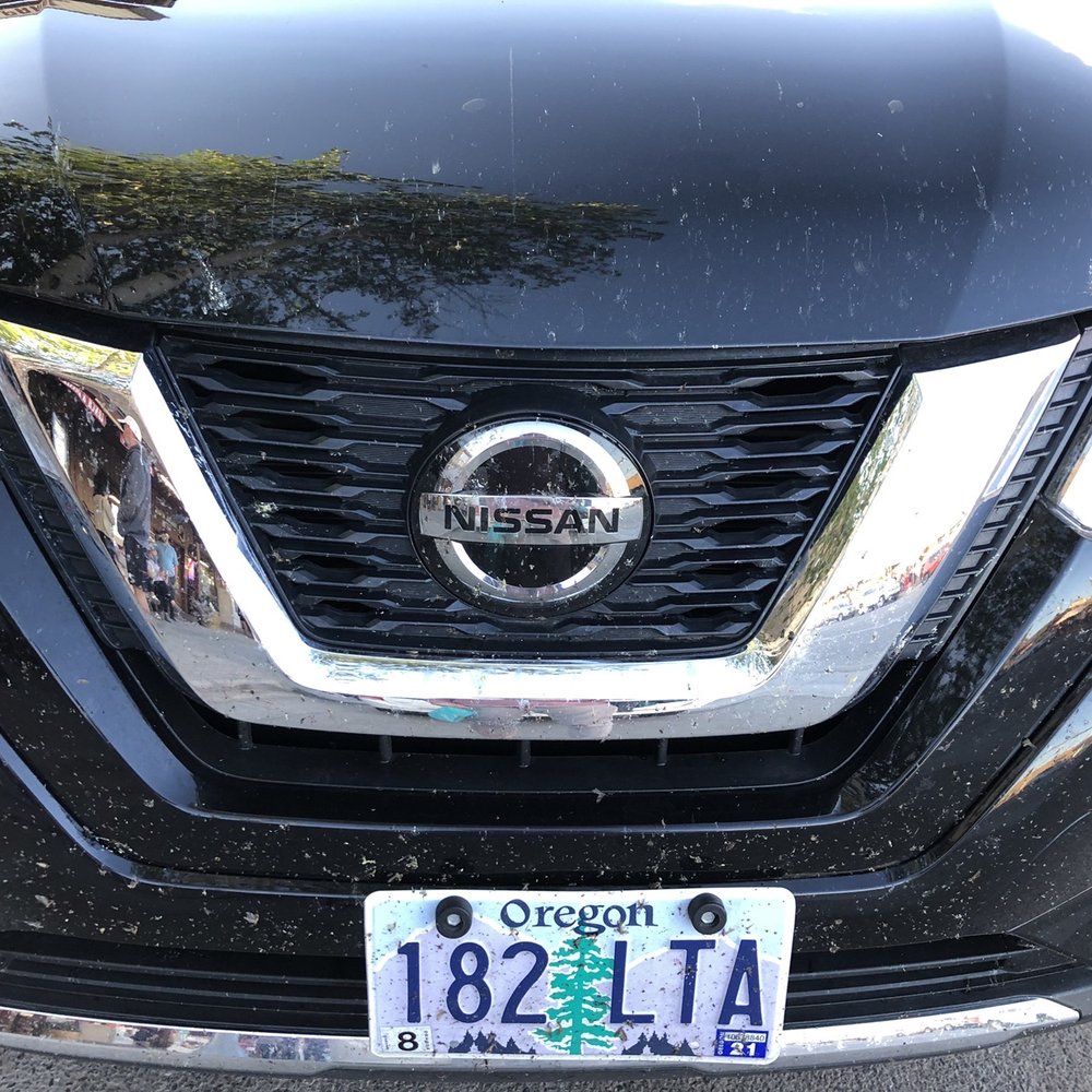 Enterprise Rent-A-Car - Bugs galore! They said "No Problem!" - Car Rental Near Me - Seattle, Washington Enterprise Rent-A-Car - Bugs galore! They said "No Problem!" - Car Rental Near Me - Seattle, Washington