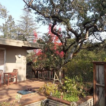 Custom Tree Care - Proping a leaning oak over a deck - Tree Services Near Me Custom Tree Care - Proping a leaning oak over a deck - Tree Services Near Me