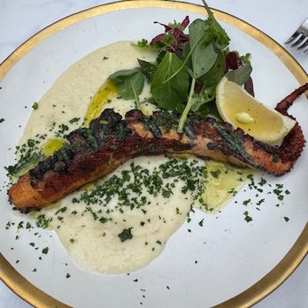 Casa Stellina - Outstanding octopus - the most tender I've ever had in my life! - Pizza Near Me - Farmingdale, New York Casa Stellina - Outstanding octopus - the most tender I've ever had in my life! - Pizza Near Me - Farmingdale, New York